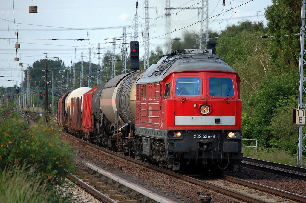 232 354-8 mit gemischtem G�terzug am 11.06.13 Berlin-Karow.