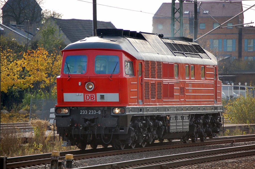 233 233-6 bei der Durchfahrt im Bhf. Berlin-Sch�nefeld Flughafen, 29.10.10