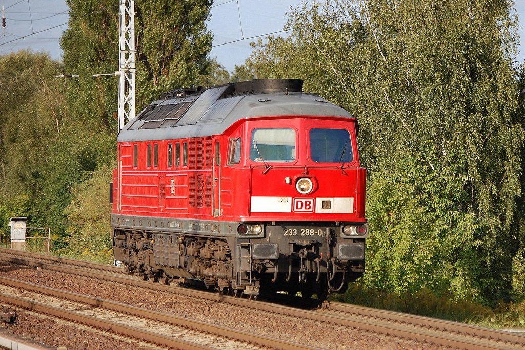 233 288-0 am 06.09.12 Berlin-Karow.