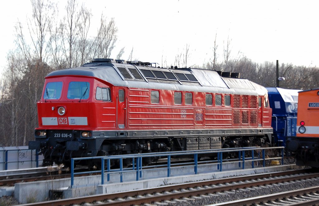 233 636-0 mit einem ganzzug polnischer Selbstentladewagen Richtung Karower Kreuz Berlin, 30.11.10 Berlin-Blankenburg.