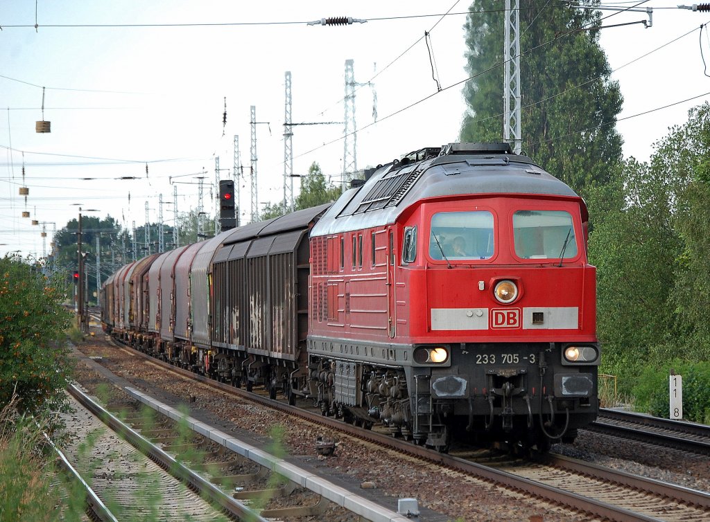233 705-3 mit gemischtem G�terzug, 22.06.10 Berlin-Karow.