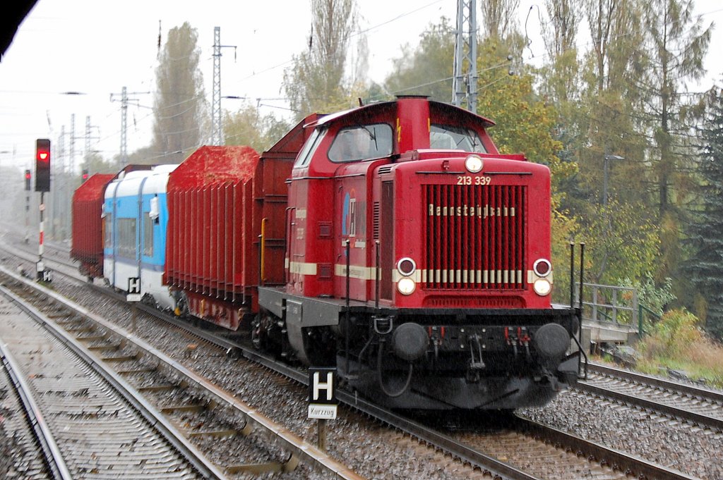 Auch bei diesem miesem Wetter werden die fabrikneuen RegioShuttle in blau/wei� f�r die tschechische Staatsbahn? �berf�hrt aus dem Stadler Werk Berlin-Pankow, diesmal zieht mal wieder die RBG Lok 213 339 den Zug, 11.10.11 Berlin-Karow. 