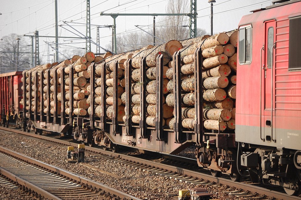 Drehgestellflachwagen mit Niederbindeeinrichtung der DB vom Typ Snps 719 mit Holz beladen, 15.02.11 Bhf. Flughafen Berlin-Sch�nefeld.