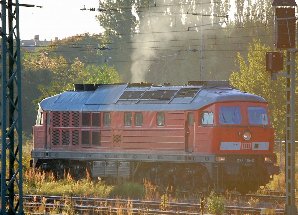 Echte Herbststimmung im Sp�tsommer, 233 515-6 wartet am Haltesignal im Gbf. Berlin-Moabit auf die Weiterfahrt am fr�hen Morgen, 06.09.10