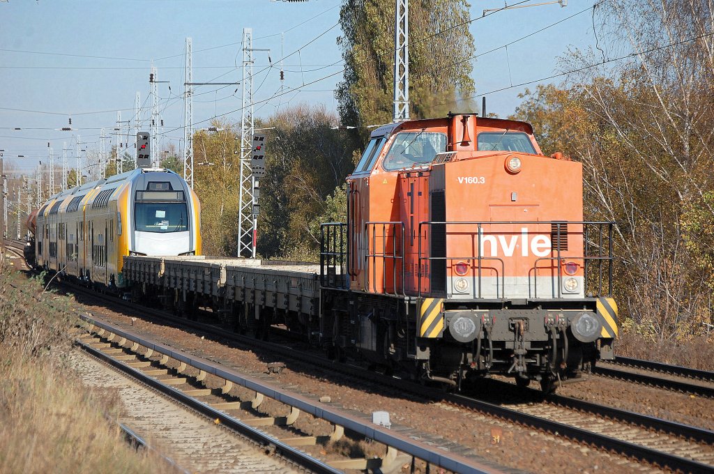 Ein fabrikneuer Stadler ODEG-KISS wird vom Stadlerwerk Berlin-Pankow (Wilhelmsruh) nach Velten von hvle V160.3 (203 105-2) �berf�hrt, 29.10.12 Berlin-Karow.