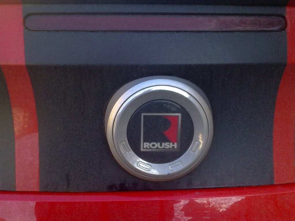 Ein Hecklogo auf der Sonderedition eines FORD MUSTANG DUB, erst auf dem zweiten Blick f�llt einem der Schriftzug FORD ins Auge, 02.03.13 Berlin-Pankow.