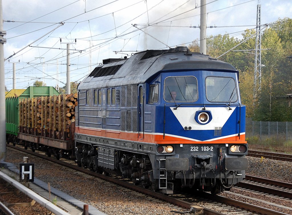 Eine der farblich auff�lligsten Privat-Ludmillas, die Raildox-Lok 232 103-2 (92 80 1232 103-2 D-RDX, Lugansk Bj.1974 als V 300) mit Ganzzug Rungenwagen mit Frischholz auf dem Weg Berliner Innenstadt, 12.10.11 Berlin-Blankenburg.