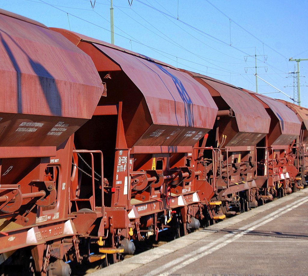 Eine Reihe gedeckter Sch�ttgutwagen mit franz�sisch und slowakischer Registrierung f�r die Fa. SKW PIESTERITZ im Einsatz, in der Bildmitte der Wagen mit slowakischer Nr. 23 RIV 56 SK-EEWS 0733 176-8(P) Tds DOM.ST.: TRNAVA VL.VL. Ladegut: PIAMON 33 S (Stickstoffd�nger), 08.03.11 Bhf. Flughafen Berlin-Sch�nefeld. 