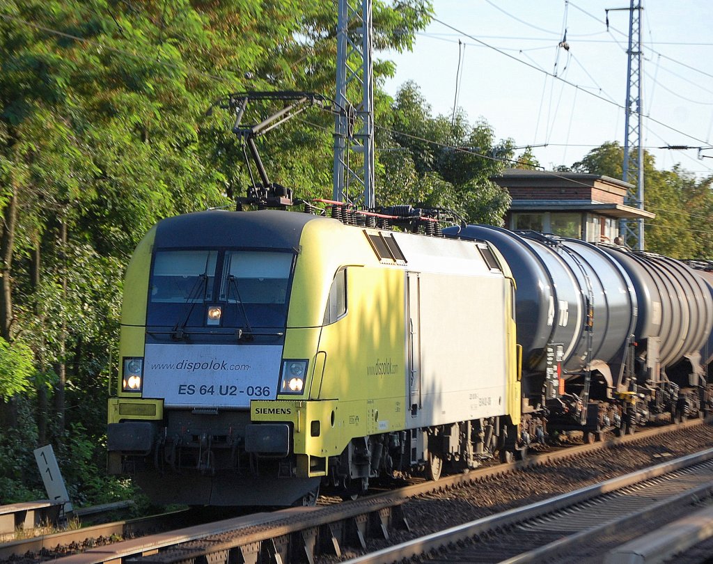 Hier noch in klassisch gelb, MRCE Dispolok ES 64 U2-036 (Siemens, Bj.2004)mit Leerzug Kesselwagen Uber Bernau nach Schwedt, 19.08.09 Berlin-Karow.