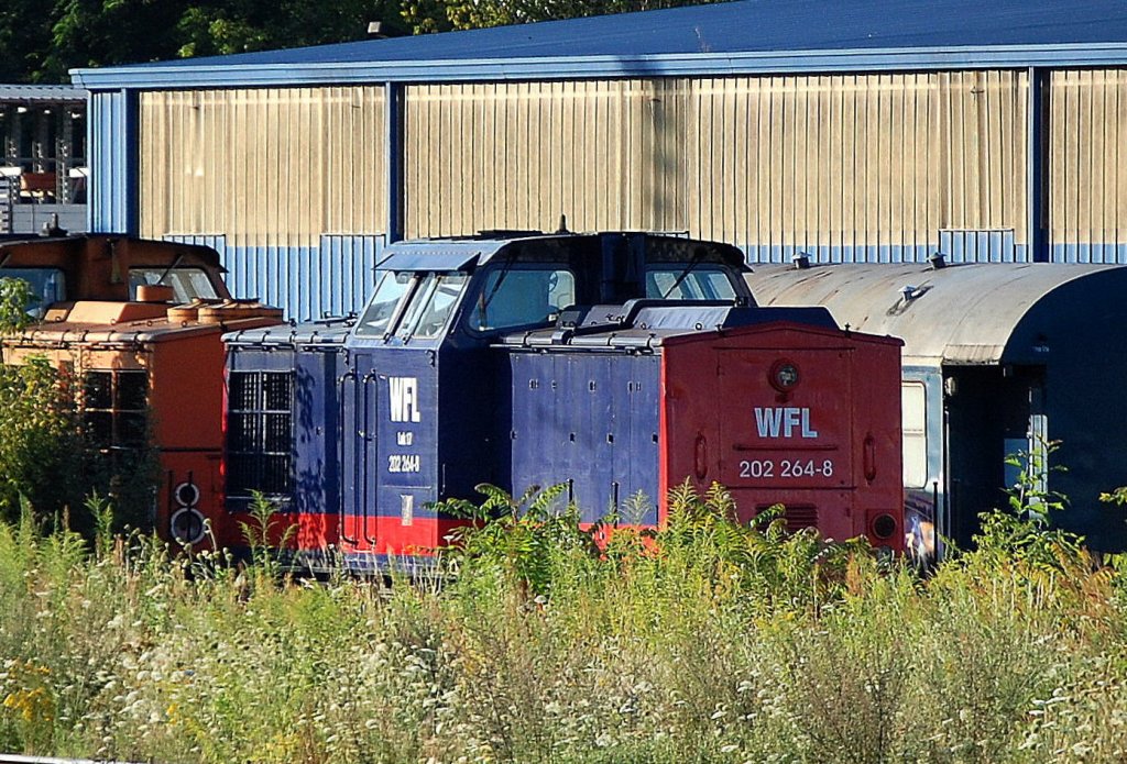 Leider auch nur durchs Dickicht als Sichtungsaufnahme, WFL Lok 17 202 264-8 (98 80 3202 264-8, Bj.1970) am 31.07.09 Zementwerk Berlin Greifswalder Str.