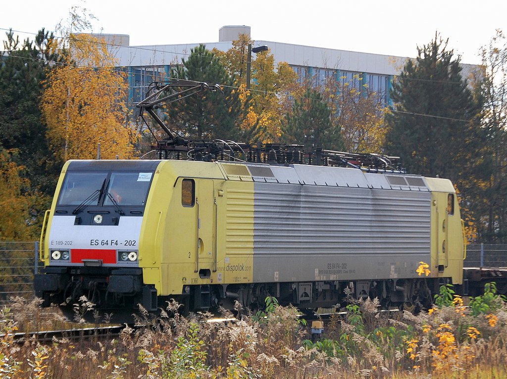 MRCE Dispolok E 198-202 / ES 64 F4-202 (91 80 6189 202-5 D-DISPO, Bj.2004) im Dieste der niederl�ndischen ERS mit Containerzug bei der Durchfahrt im Bhf. Flughafen Berlin-Sch�nefeld, 30.10.09  