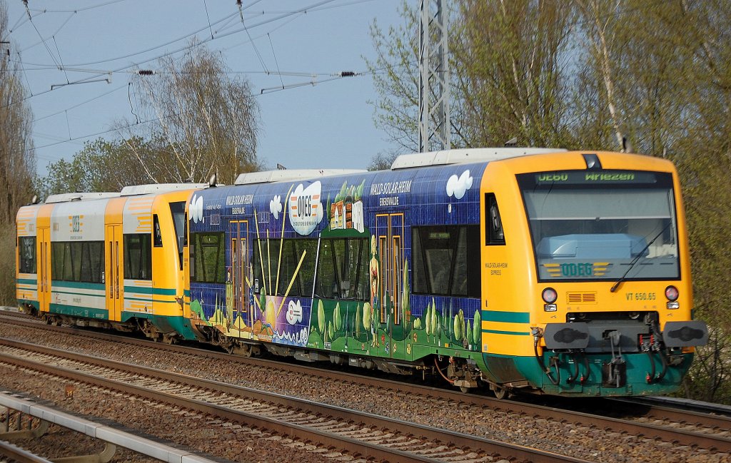ODEG VT 650.?? + VT 650.65  WALD-SOLAR-HEIM EXPRESS  (95 80 0650 065-5 D-ODEG) als OE60 Richtung Wriezen, 11.04.11 Berlin-Karow.