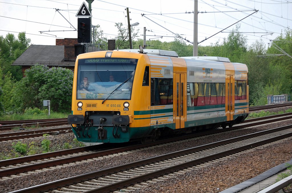 OE60 Richtung Frankfurt (Oder) mit VT 650.66 (95 80 0650 066-3 D-ODEG, Stadler Bj.2004), 04.05.12 Berlin-Blankenburg.