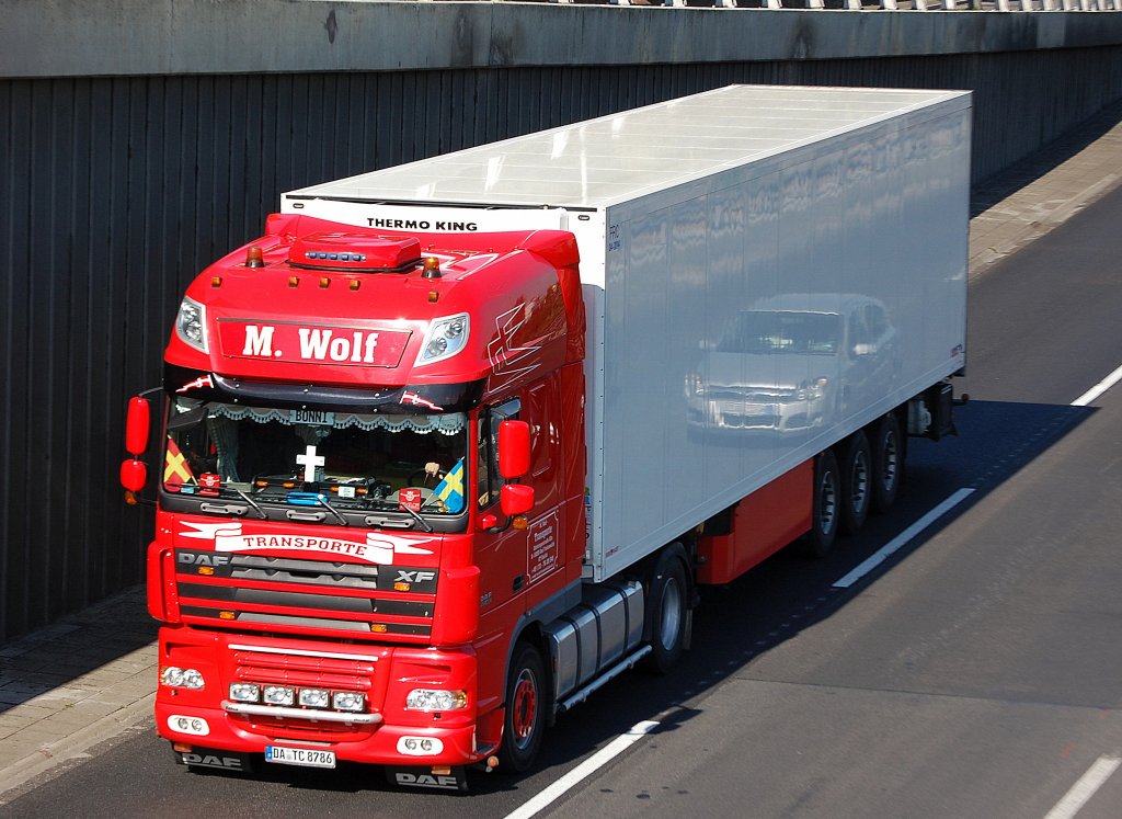Pr�chtige DAF XF 95.480 Zugmaschine der Sped. M.Wolf Transporte mit K�hlthermoauflieger, 22.09.10 Berliner Stadtautobahn H�he Knobelsdorffstr.