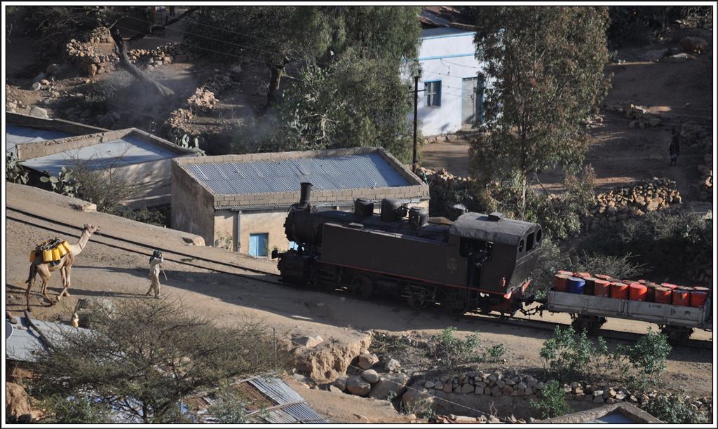 Vorsicht Kamel oder Vorsicht Dampflok in Nefasit. (01.02.2012)