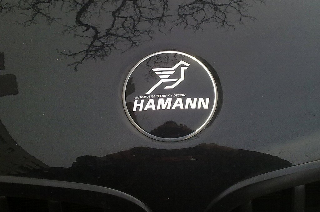 Wenn der bekannteste Tuningspezialist Deutschlands aus Luxusautos noch mal alles rausholt im Punkto Design und Motorleistung kann er die Fahrzeuge auch mit eigenem Logo ausstatten, hier das Frontlogo auf einem TICOON BMW X6, 02.03.13 Berlin-Sch�neberg. 