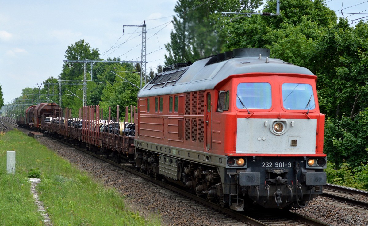 232 901-9 mit einem gemischten Güterzug (vor allem Radsätze für Bahnfahrzeuge) am 21.05.15 Röntgental b. Berlin.