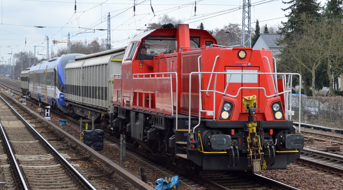 Das Highlight, die northrail 261 006-1 (92 80 1261 006-1 D-NRAIL) wahrscheinlich für railadventure im Einsatz mit der Überführung eines fabrikneuen polnischen zweiteiligen PESA Link Dieseltriebzuges für die NEB (632 023-7/623 523-6) am 03.03.16 Berlin-Hirschgarten Richtung Basdorf.