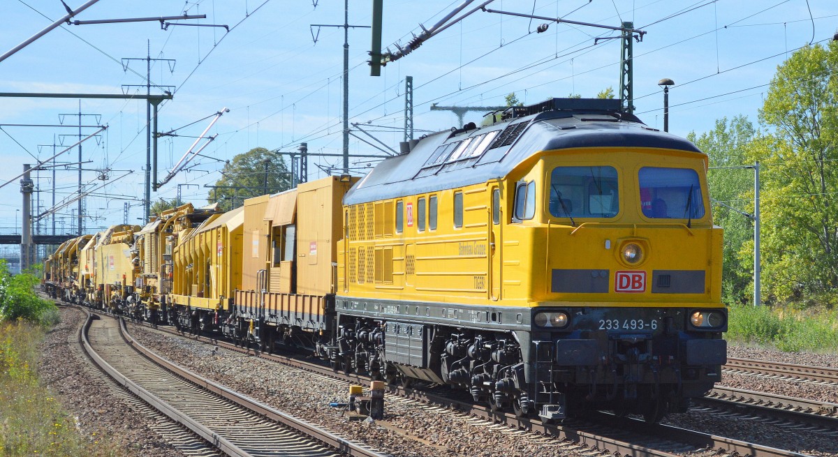 DB Bahnbau-Gruppe mit ihrem gelben Tiger 233 493-6  mit einem Gleisbauzug am 17.09.15 Bhf. Flughafen Berlin Schönefeld,