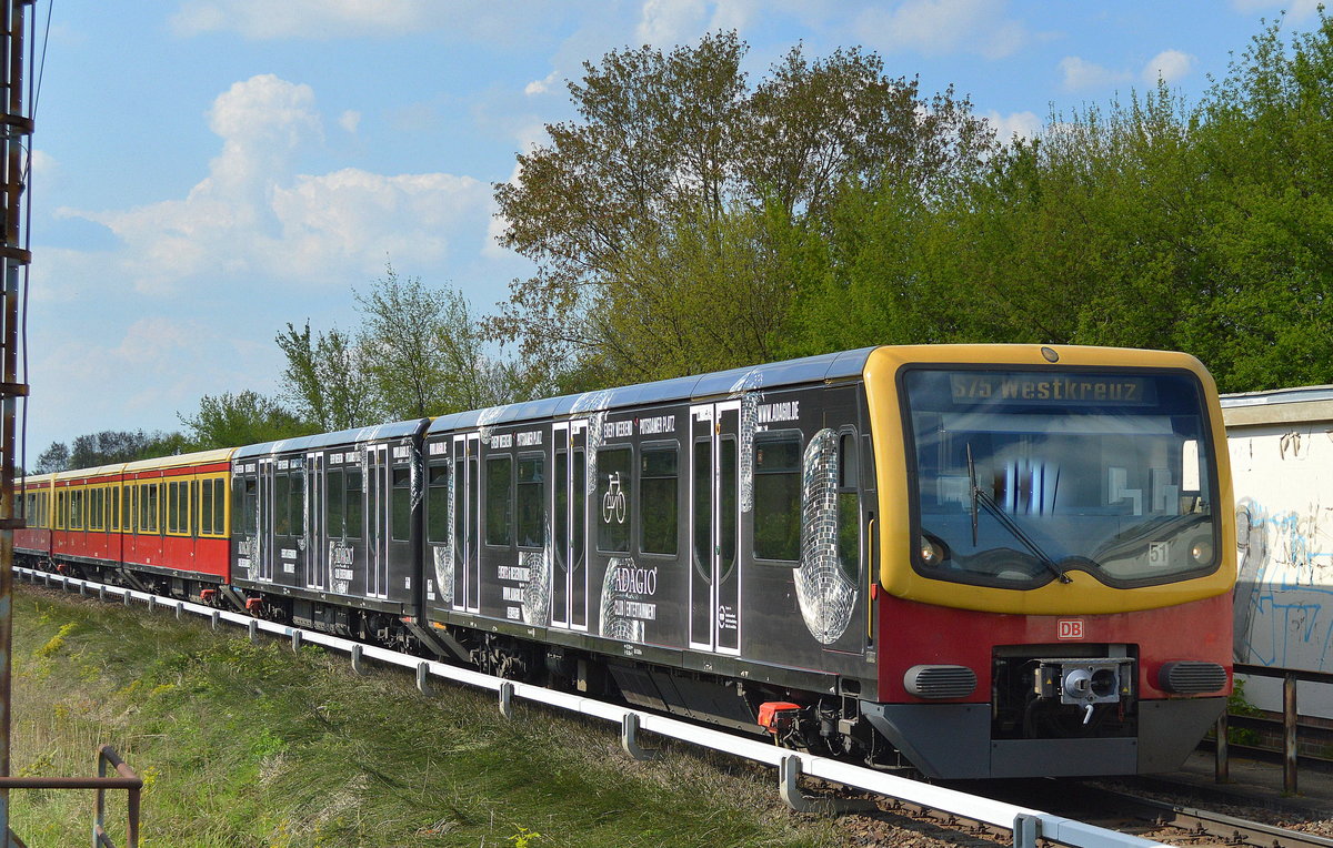Der neueste Werbe-Viertelzug der Berliner S-Bahn, der Zug 481 427-3 mit der gelungenen Werbefolie für ADAGIO CLUB/ENTERTAINMENT auf der Linie S75 am 03.05.16 Einfahrt Bf. Berlin-Hohenschönhausen.
