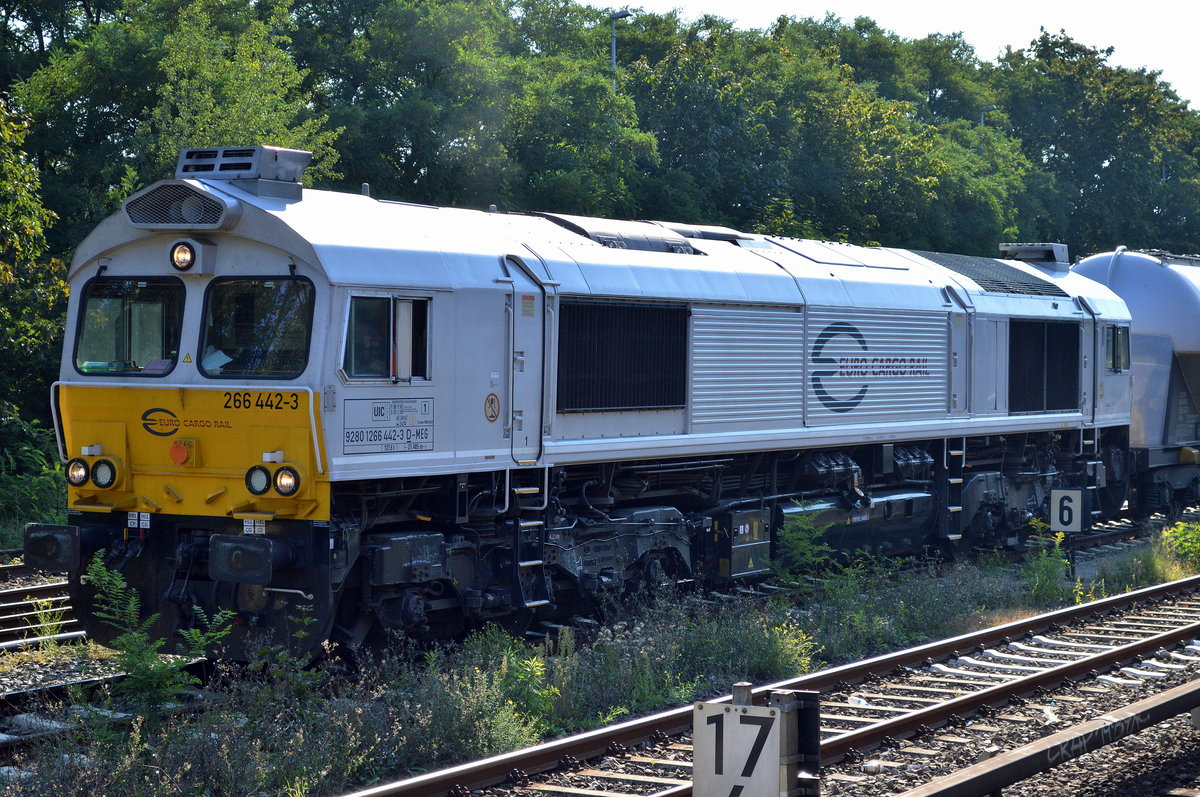 Die MEG 266 442-3 (9280 1266 442-3 D-MEG) stand mit einem Staubgutzug abfahrbereit am Gbf. Berlin-Neuk�lln am 08.09.16 