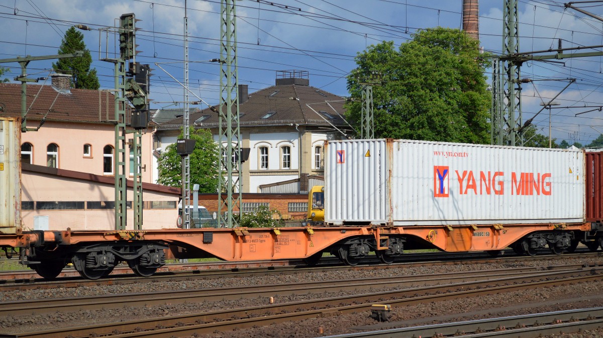 Die YANG MING Container gehören zu einer der größten weltweit operierenden Reedereien/Logistikunternehmen der YangMing Marine Transport Corp. (Yang Ming Line) aus der Republik China/Taiwan, 30.05.14 Bhf. Fulda.  