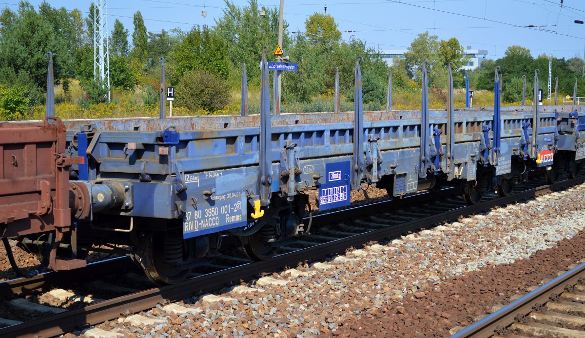 Drehgestell-Flachwagen vom Einsteller NACCO mit der Nr. 37 RIV 80 D-NACCO 3950 001-2(P) Remms am 04.09.14 Bhf. Flughafen Berlin-Sch�nefeld.