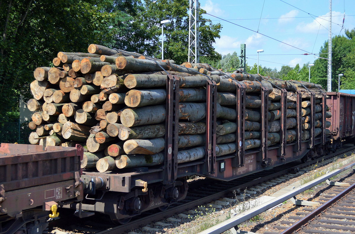 Drehgestell-Flachwagen mit Niederbindeeinrichtungen der DB mit Stammholz beladen mit der Nr.37 RIV 80 D-DB 4724 081-7 Snps 719 am 13.08.16 Königs Wusterhausen. 
