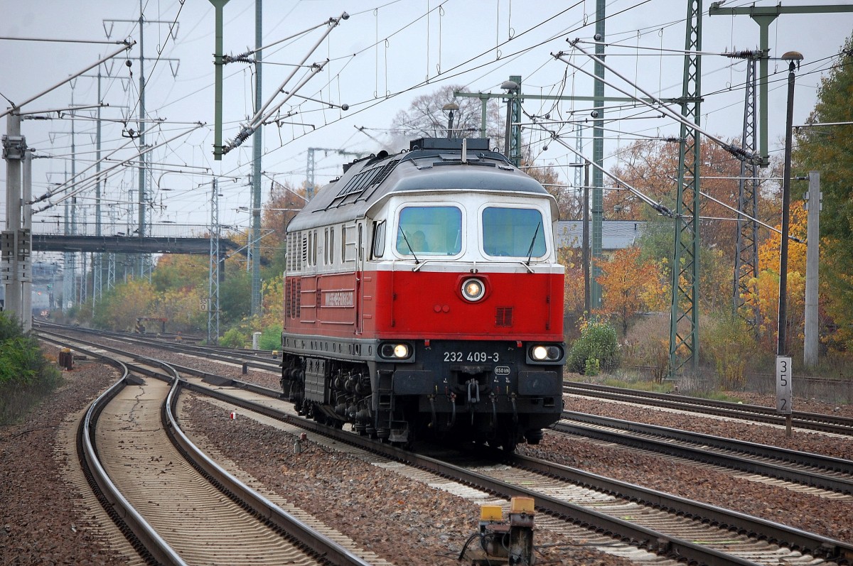 East-West Railways 232 409-3 durchf�hrt den Bhf. Flughafen Berlin-Sch�nefeld, 16.10.13