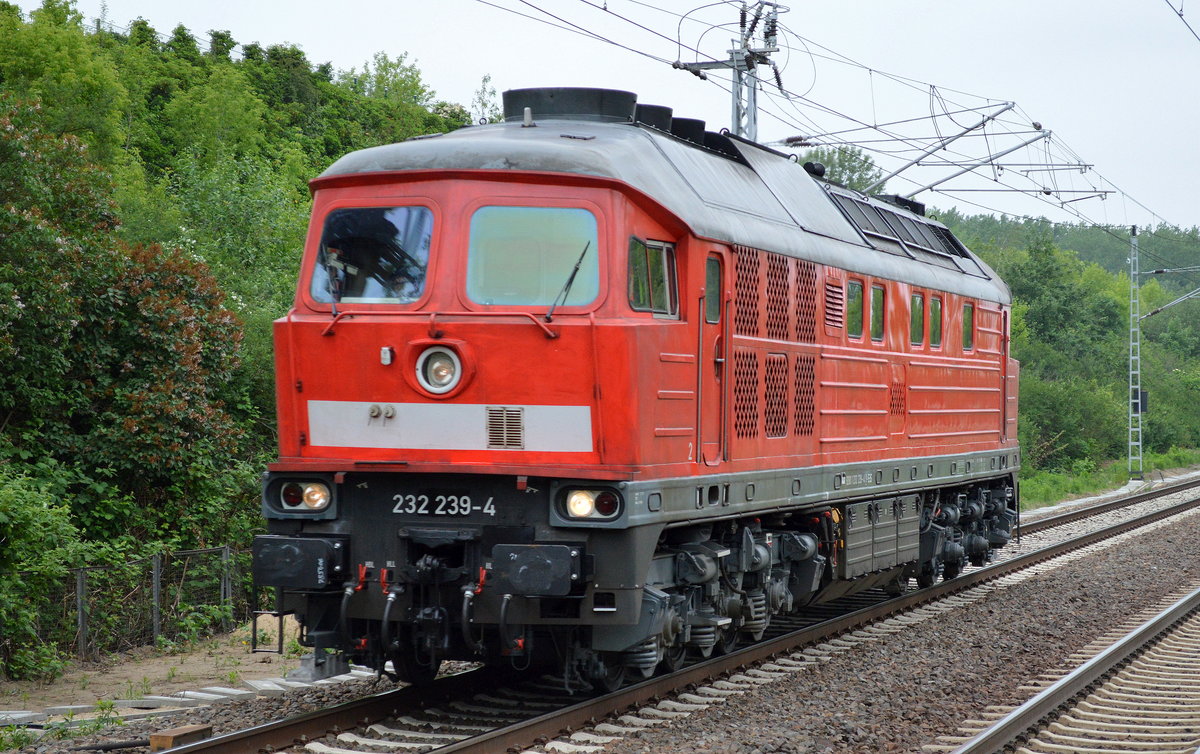 EBS 232 239-4 am 25.05.16 Berlin Hohenschönhausen.