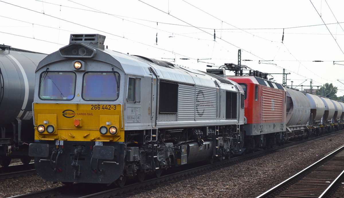 ECR/MEG 266 442-3 mit der MEG 610(143 848-0) und Zemenstaubzug(leer) am Haken am 16.09.16 Bf. Flughafen Berlin-Schönefeld.
