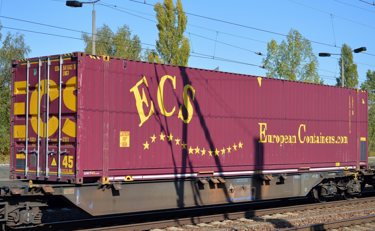 Ein 45ér ECS Container am 03.10.15 Bhf. Flughafen Berlin-Schönefeld.