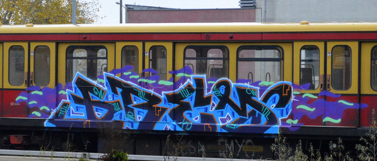 Gesichtet am 19.11.14 S-Bhf. Flughafen Berlin-Schönefeld.