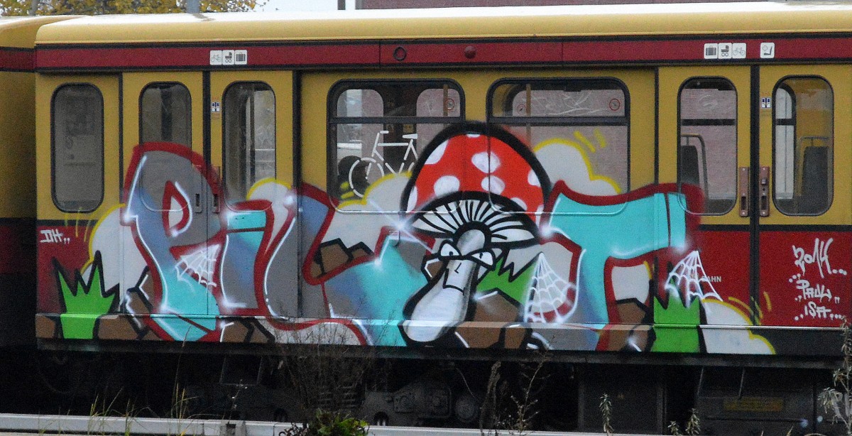 Gesichtet am 19.11.14 S-Bhf. Flughafen Berlin-Schönefeld.