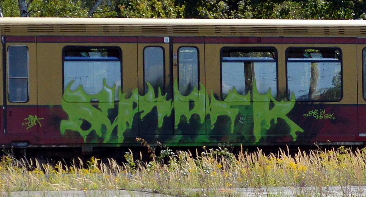 Graffiti an einer S9 am 28.08.14 Bhf. Flughafen Berlin-Schönefeld.