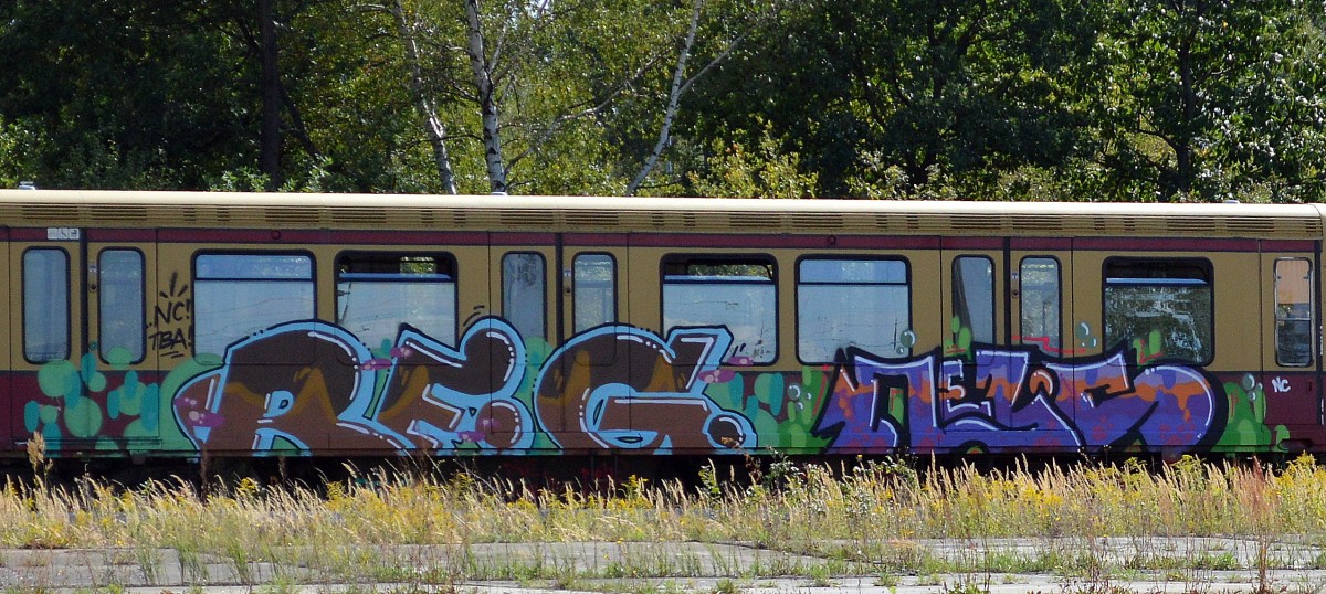 Graffiti an einer S9 gesichtet am 28.08.14 Bhf. Flughafen Berlin-Schönefeld.