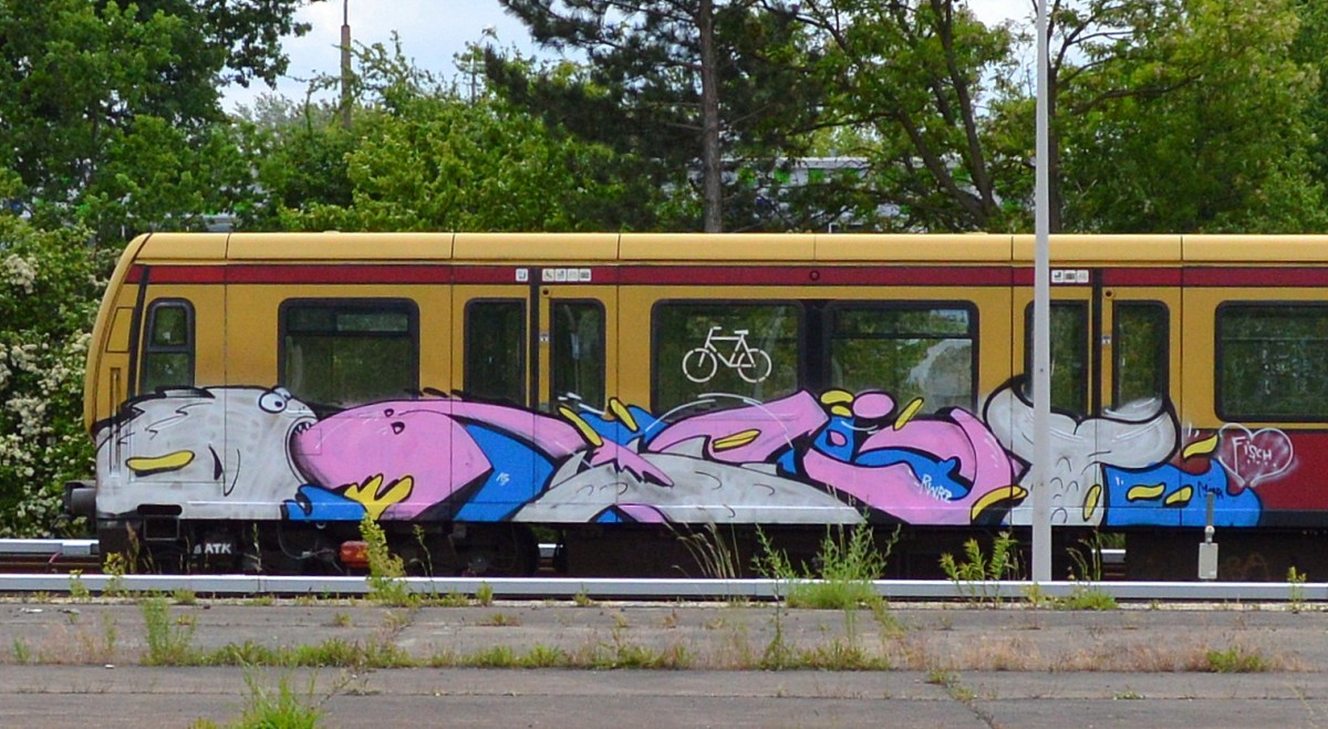 Graffiti gesichtet am 03.06.15 Bhf. Flughafen Berlin-Schönefeld.