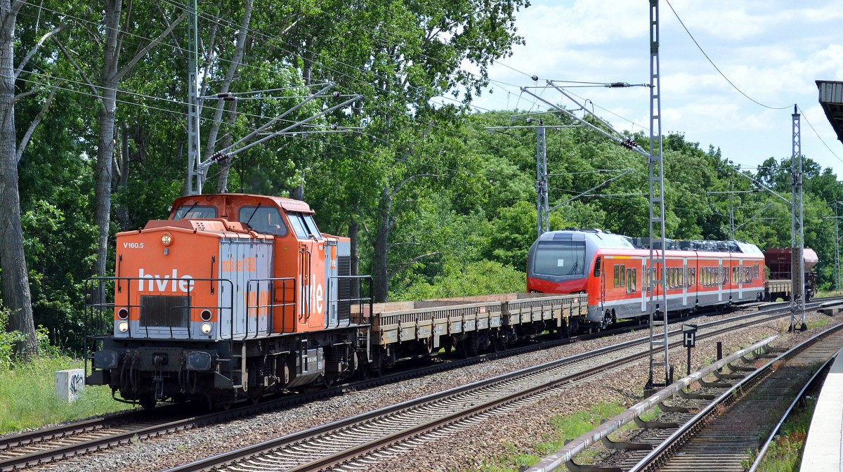 hvle V160.5 (203 143-3) bei einer Überführungsfahrt eines fabrikneuen STADLER FLIRT BR 428 für die DB REGIO noch ohne Nr. Richtung Oranienburg am 12.06.14 Mühlenbeck/Mönchmühle b.Berlin.