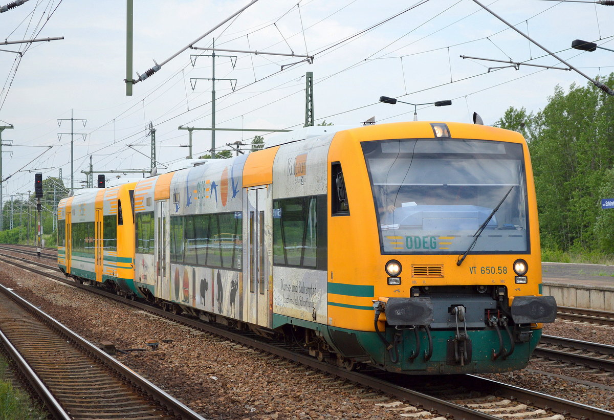 Lange Zeite nicht mehr gesehen im Berliner Umfeld, zwei der älteren ODEG RegioShuttle VT 650.58 + VT 650.60 am 30.05.16 Durchfahrt Bf. Flughafen Berlin-Schönefeld.