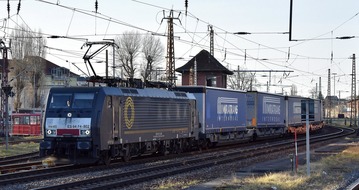 LTE Polska Sp. z o.o., Gdynia [D] mit der BRCE Dispo Lok  ES 64 F4-802  [NVR-Nummer: 91 80 6189 802-2 D-DISPO] und einem KLV-Zug Richtung Polen am 04.03.25 Höhe bahnhof Frankfurt (Oder).