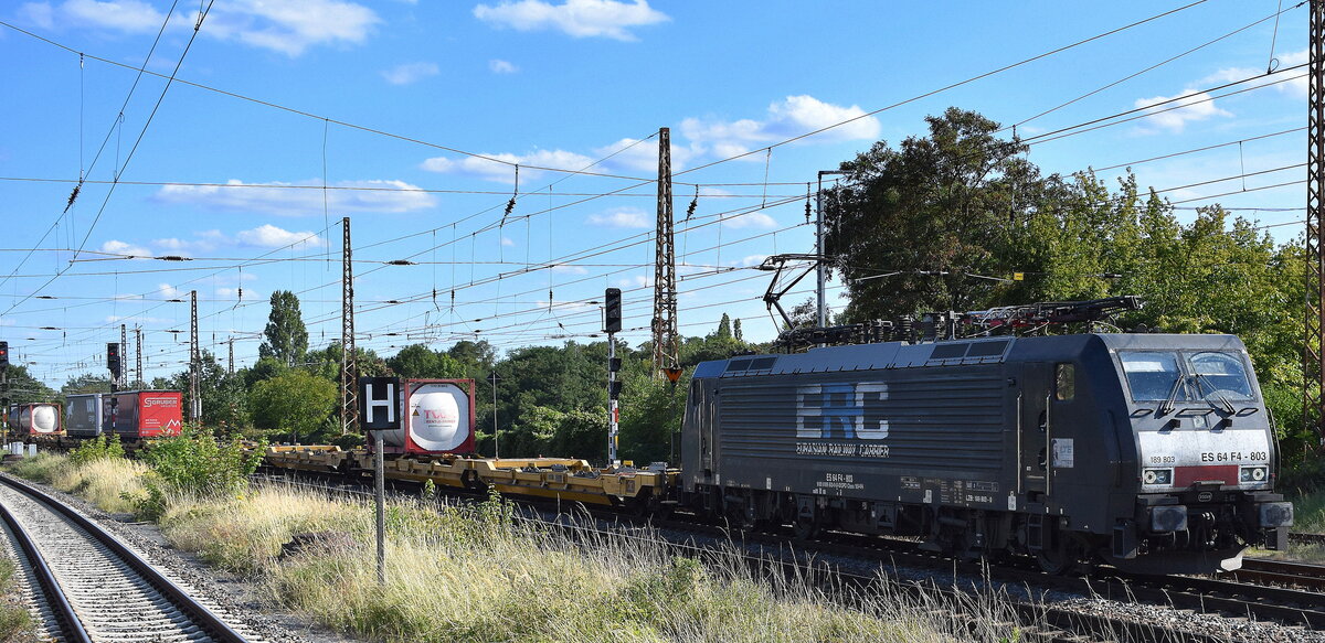 LTE Polska Sp. z o.o., Gdynia [D] mit der geleasten BRECE Dispo Lok  ES 64 F4-803  [NVR-Nummer: 91 80 6189 803-0 D-DISPO] und einem KLV-Zug am 26.08.25 Höhe Bahnhof Frankfurt/Oder.