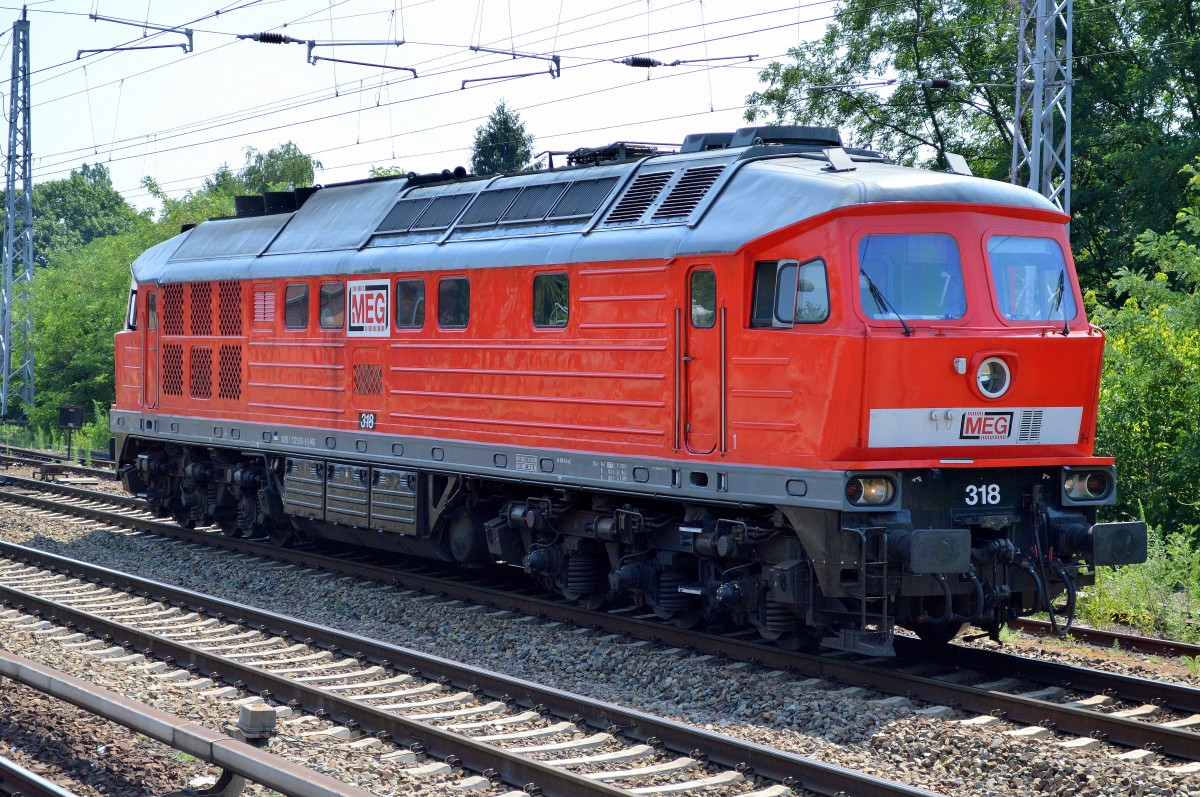 MEG 318 (232 690-8) hat einen Zementstaubzug Richtung Gbf. Berlin-Köpenick gebracht und setzt nun gerade um um einen dort gerade abgestellten Leerzug Zementstaubwagen abzuholen Richtung Ruhlsdorfer Zementwerke, 05.07.15