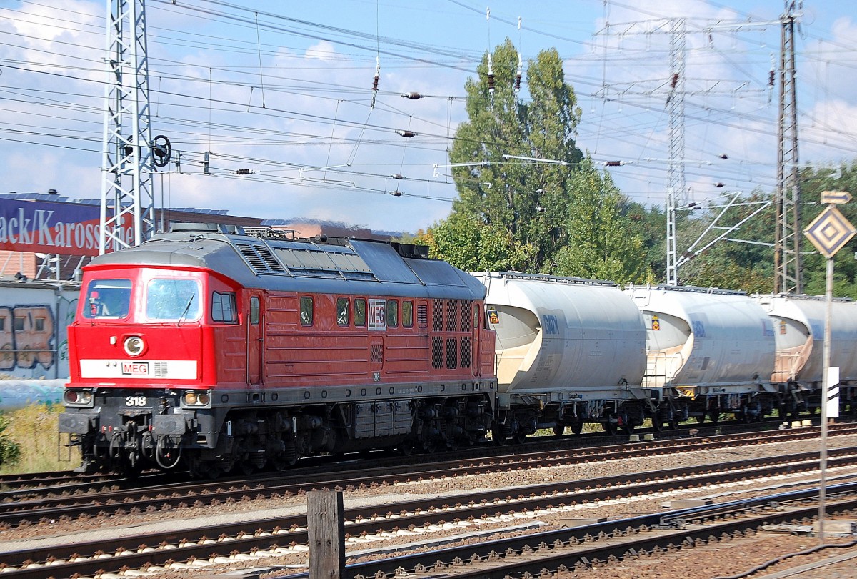 MEG 318 (232 690-8) kommt mit einem gannzzug Staubsilowagen aus Richtung Industrie�bergabegebiet Nordost, 01.10.13 Berlin-Springpfuhl.