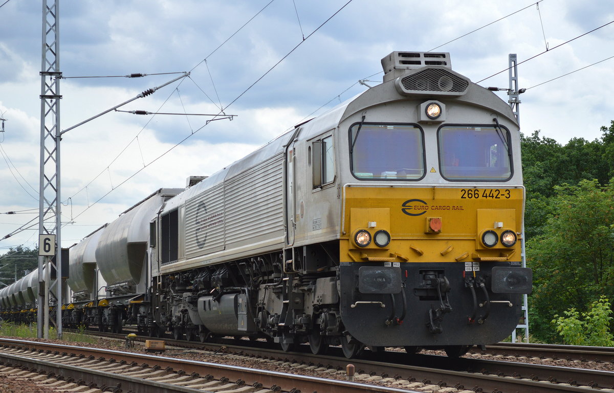 MEG mit ihrer ECR-Lok 266 442-3 und einem Ganzzug Staubgutwagen (Zement)am 16.06.16 Berlin-Wuhlheide.