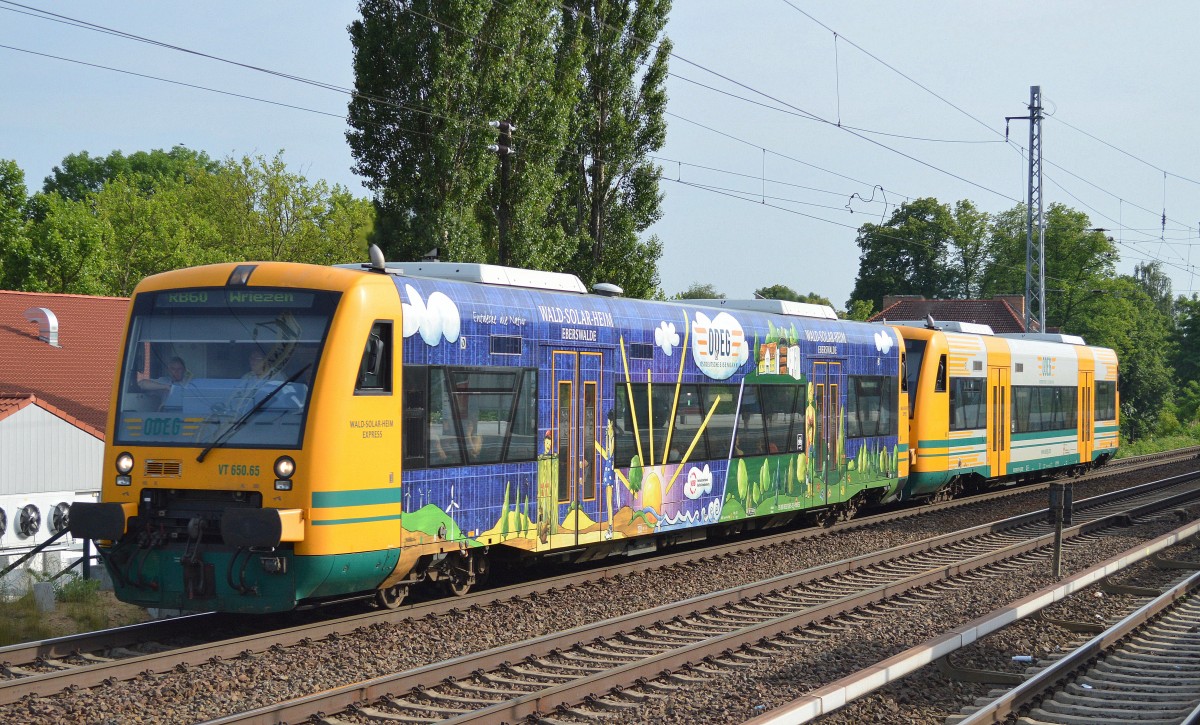 ODEG mit RB60 nach Wriezen mit VT 650.65 WALD-SOLAR-HEIM EXPRESS + VT 650.?? am 10.06.14 Berlin-Karow.