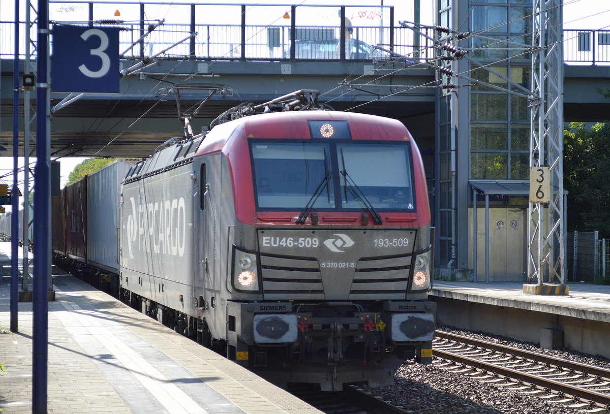 PKP Cargo mit EU46-509/193-509 und Containerzug am 04.09.17 Bf. Berlin-Hohenschönhausen.
