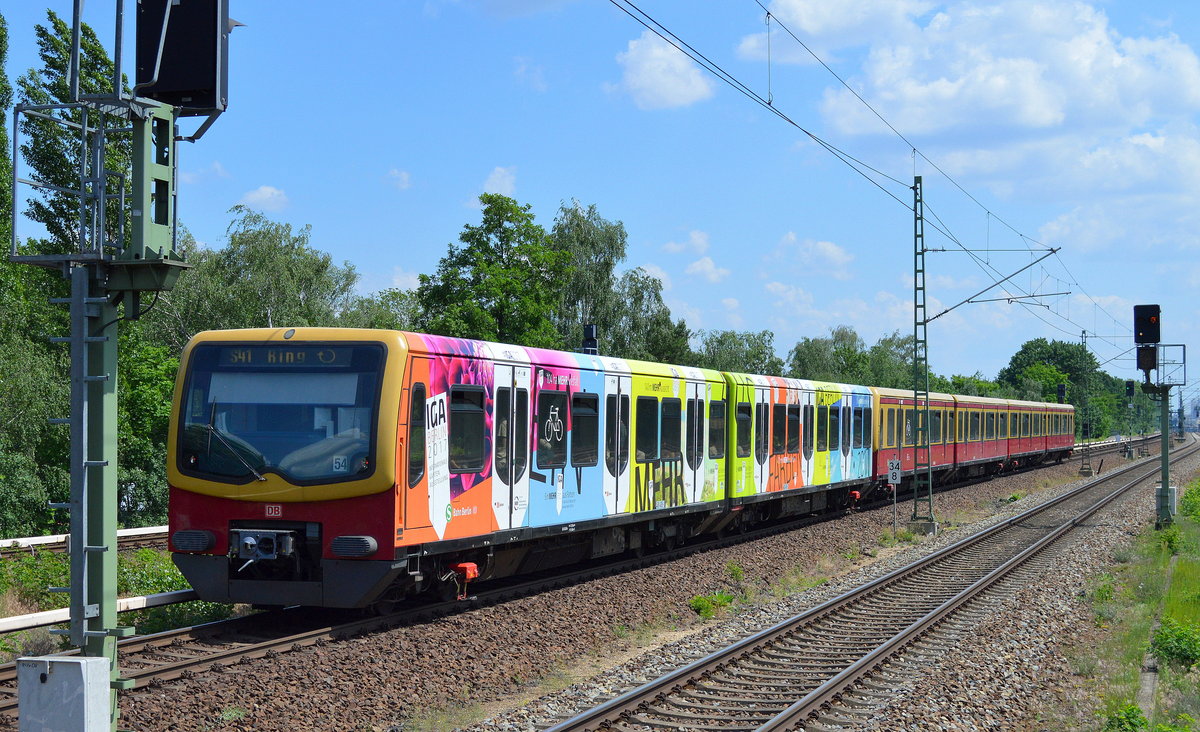 S41 Ringbahn der Berliner S-Bahn mit u.a. dem Viertelzug 481 465-3 mit der IGA Werbung bei der Einfahrt Bf. Berlin-Jungfernheide am 03.06.16