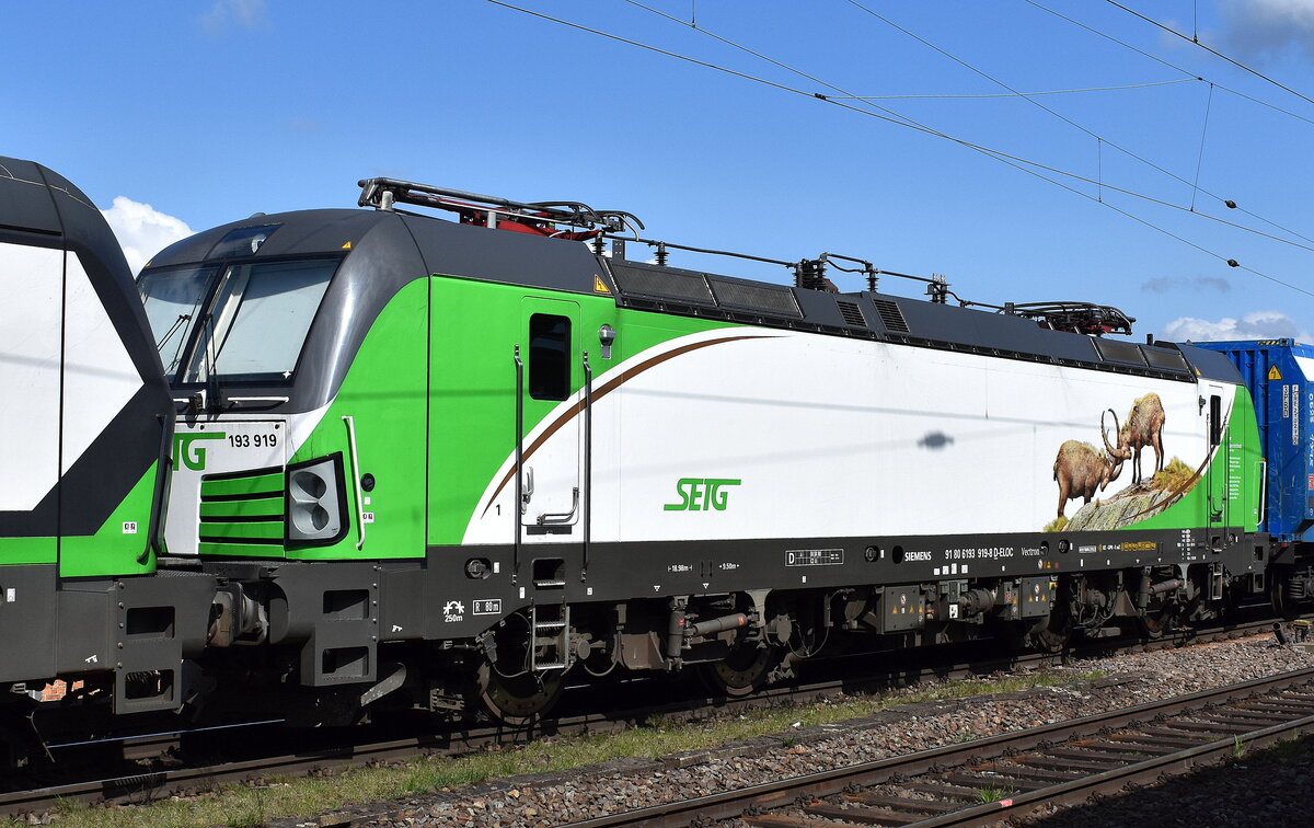 SETG - Salzburger Eisenbahn Transport Logistik GmbH, Salzburg [A]mit der geleasten ELL Vectron 193 919  [NVR-Nummer: 91 80 6193 919-8 D-ELOC] + Holzhackschnitzelzug am Haken der Doppeltraktion  193 722  [NVR-Nummer: 91 80 6193 722-6 D-ELOC] +  193 752  [NVR-Nummer: 91 80 6193 752-3 D-ELOC] am 01.04.25 Höhe Bahnhof Magdeburg-Neustadt.