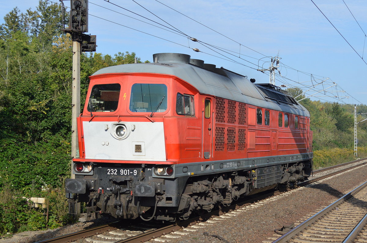 WFL 223 901-9 am 20.09.17 Bf. Berlin-Hohenschönhausen.