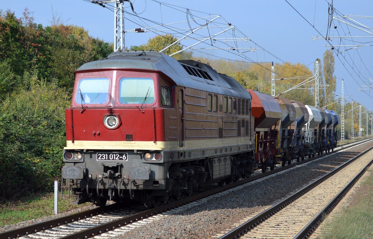 WFL Lok 23/231 012-8 (92 80 0231 012-8 D-WFL) mit einigen unterschiedlichen Schüttgutwagen Richtung Industrieübergabegebiet Berlin Nordost am 13.10.14 Berlin-Hohenschönhausen.